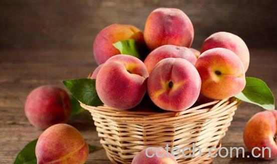 桃果是什么 桃果的功效与作用-1