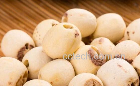 白莲的功效与作用 白莲的药用价值-0