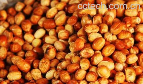 沙枣果的功效与作用-1