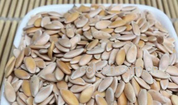 甜瓜子的神奇功效-0