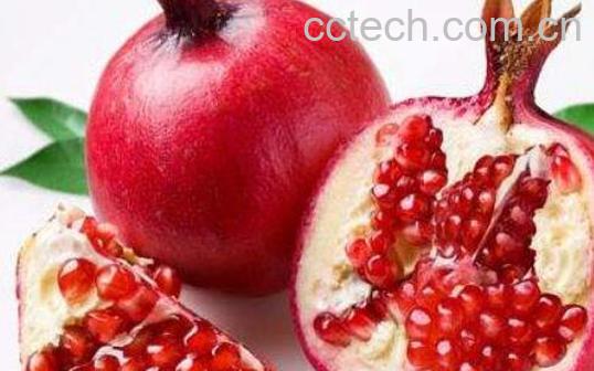 甜石榴与酸石榴的功效-0