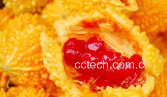 金铃子的功效与作用 金铃子是什么-0