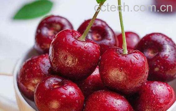 黑樱桃的功效与作用 吃黑樱桃的好处-1
