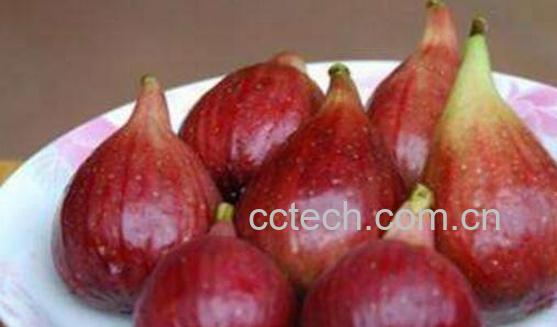 无花果皮可以吃吗 无花果皮怎么吃-1