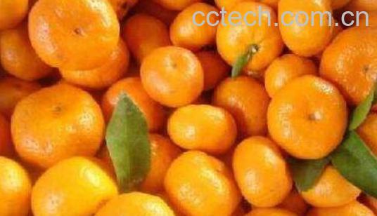 蜜橘的功效与作用 吃蜜橘的好处-0