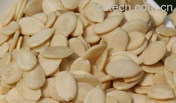 西瓜子仁的功效与作用 西瓜子仁的副作用-0