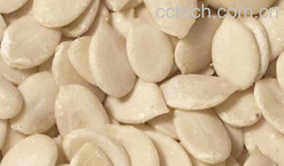 西瓜子仁的功效与作用 西瓜子仁的副作用-1