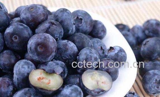 蓝莓蒸熟吃功效与作用-0