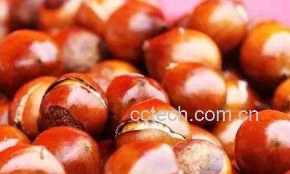 熟板栗怎么保存 煮熟板栗的保存最有效方法-0