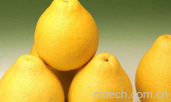 药柚子的功效与作用-0