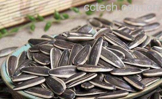 常吃生瓜子有什么危害 吃生瓜子的好处-1