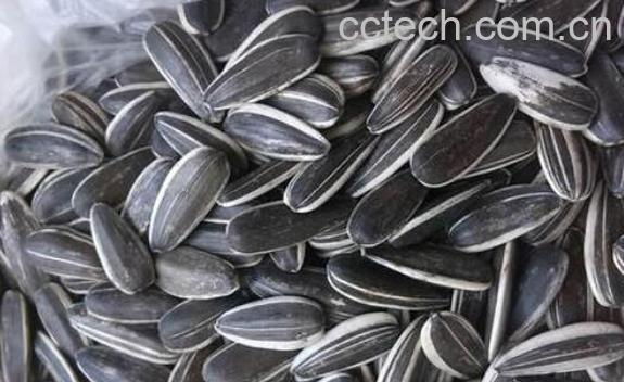 常吃生瓜子有什么危害 吃生瓜子的好处-0