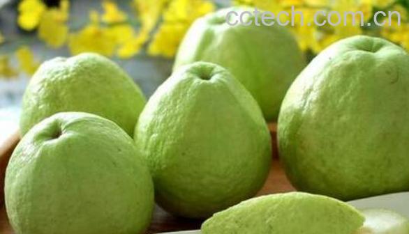 珍珠芭乐怎么吃 珍珠芭乐的食用方法-0