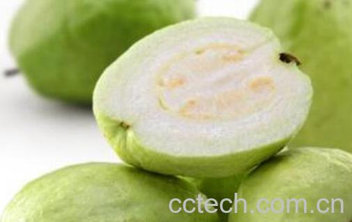 珍珠番石榴有什么功效 石榴怎么吃图解法-0