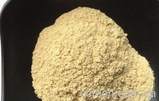 柑橘粉的功效与作用-1