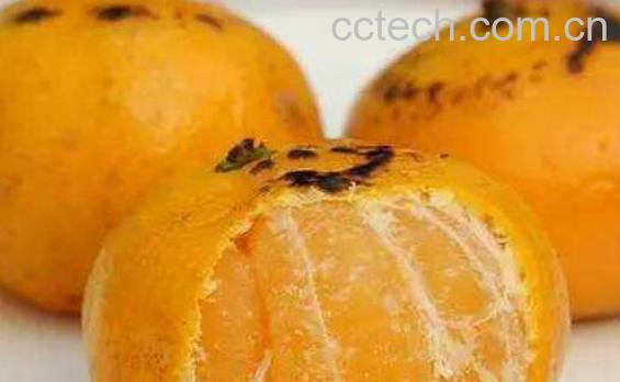 桔子烤热的功效与作用-1