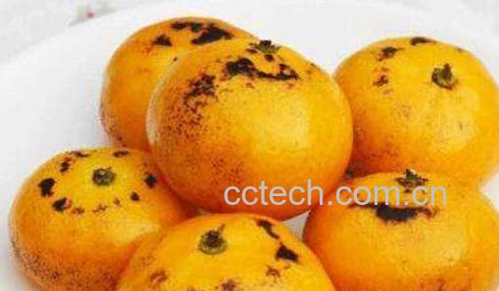 烤橘子和烤橙子的区别 吃烤橘子的好处-0