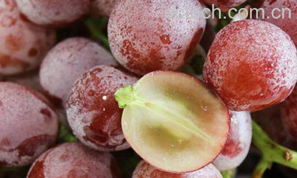 提子籽的功效与作用及禁忌-1