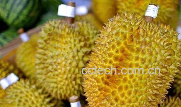 榴莲皮的功效与作用 榴莲皮的妙用-1