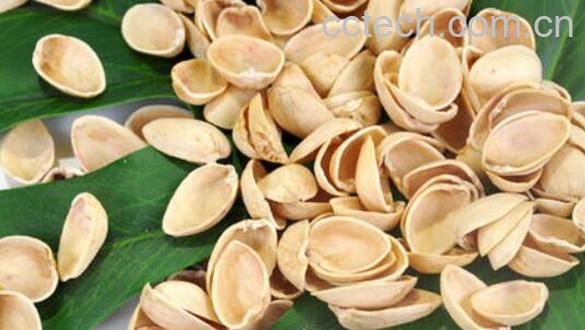 开心果壳的功效与作用 吃开心果的好处-1