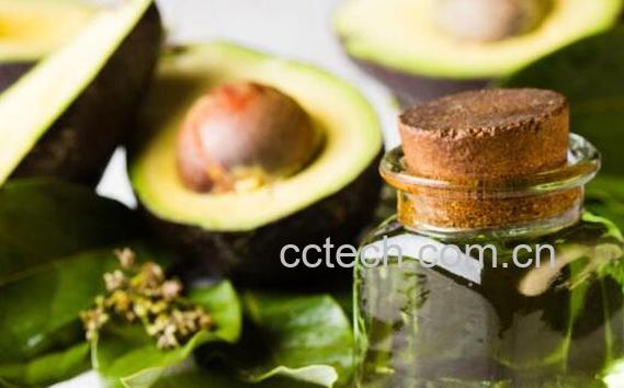 酪梨精油的功效与作用-0