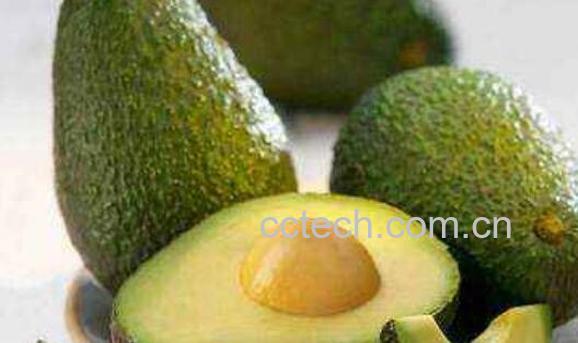 鳄梨精油的功效与作用-0