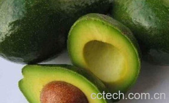 酪梨精油的功效与作用-1