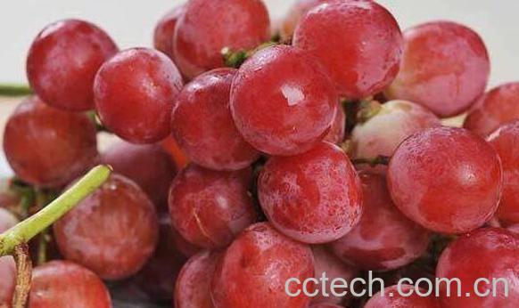 红提皮的功效与作用及禁忌-0