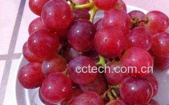 红提皮的功效与作用及禁忌-1