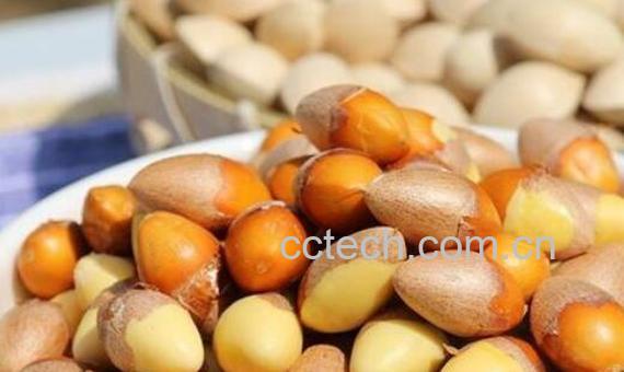 银杏果仁怎么食用方法 银杏果仁怎么吃最好-0