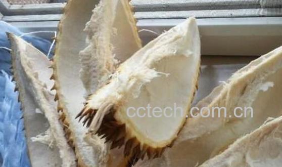 干榴莲壳的功效与作用有哪些-0