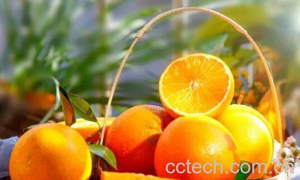 新鲜橙子泡水的正确泡法-0