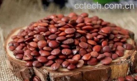 什么人不适合吃酸枣仁 酸枣仁的副作用-1