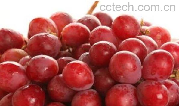 提子皮怎么好剥 如何用牙签巧剥提子皮-0