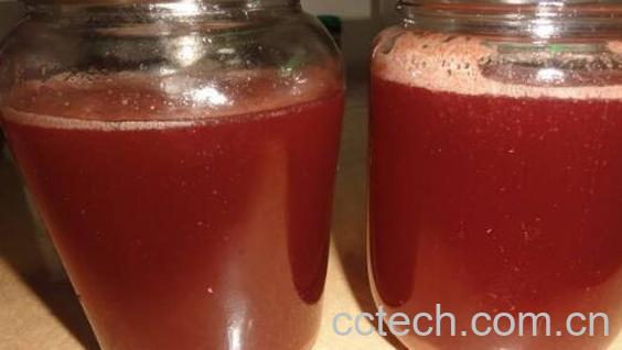 提子酒怎么做 提子酒的酿制方法-0