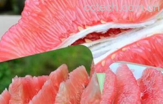 红心蜜柚的功效和作用-1