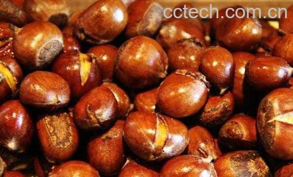 生板栗怎么做好吃 生板栗怎么烤好吃-0