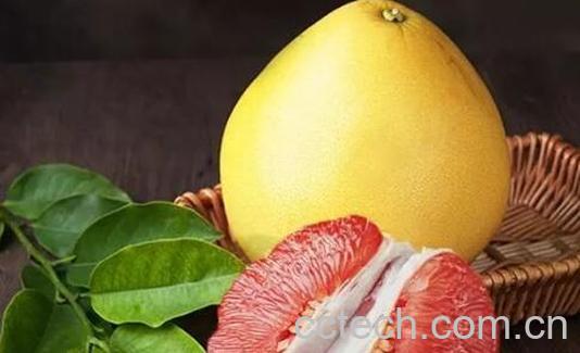 红心柚子皮的功效与作用-1