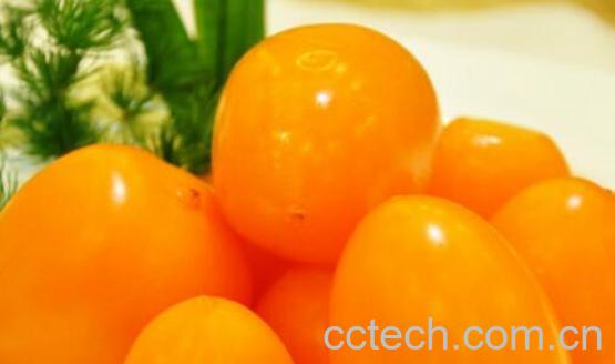 黄柿子的功效与作用-0