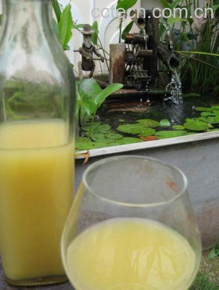 果蔬百科苹果效素-0