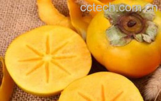 黄柿子的功效与作用-1