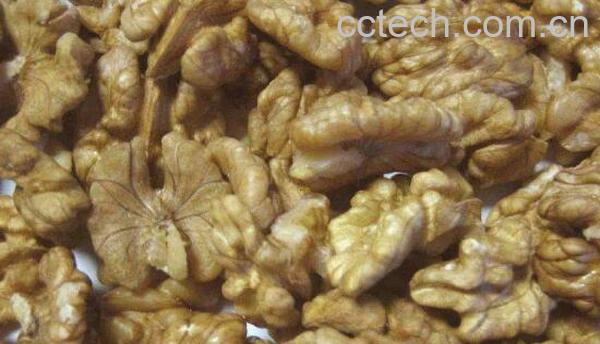 胡桃仁的功效与作用 吃胡桃仁的好处-1