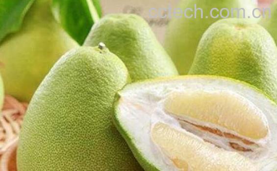 度尾文旦柚的功效与作用-1