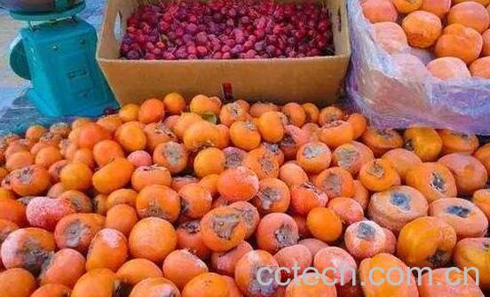 冻柿子的功效与作用 冻柿子的食用禁忌-0