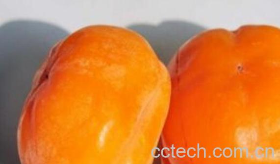 冻柿子的功效与作用 冻柿子的食用禁忌-1