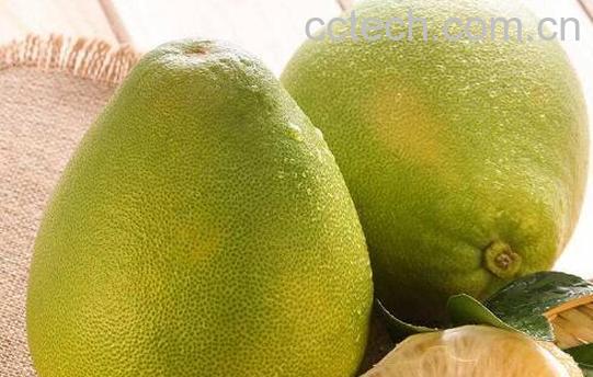  文旦柚的功效与作用及食用方法-0
