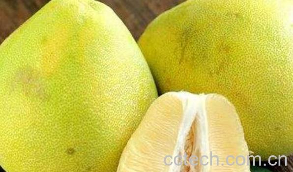 文旦柚和平和柚的区别 文旦柚的功效与作用-0