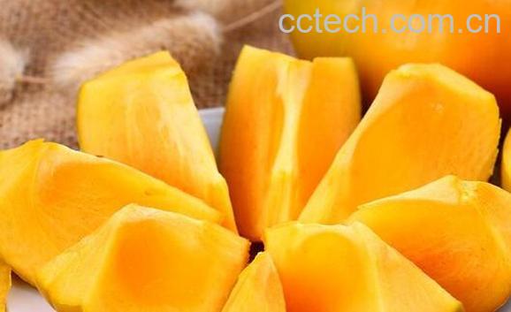 硬柿子不能和什么吃 吃硬柿子有什么禁忌-0