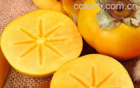 硬柿子不能和什么吃 吃硬柿子有什么禁忌-1