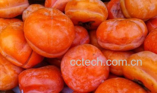 冻柿子怎么吃 冻柿子怎么做 -1